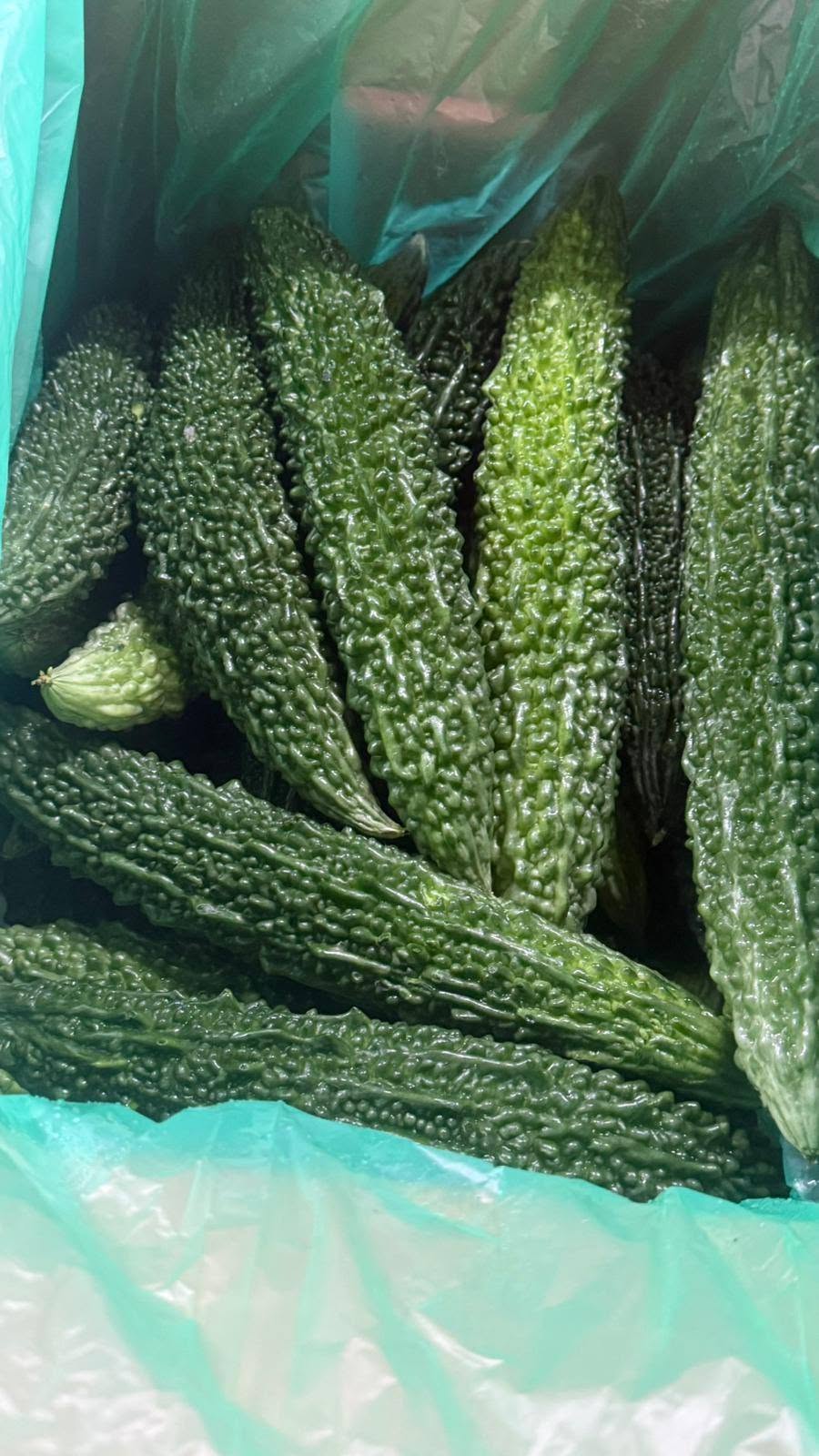 Bumpy dark-green bitter gourds in a plastic-lined box