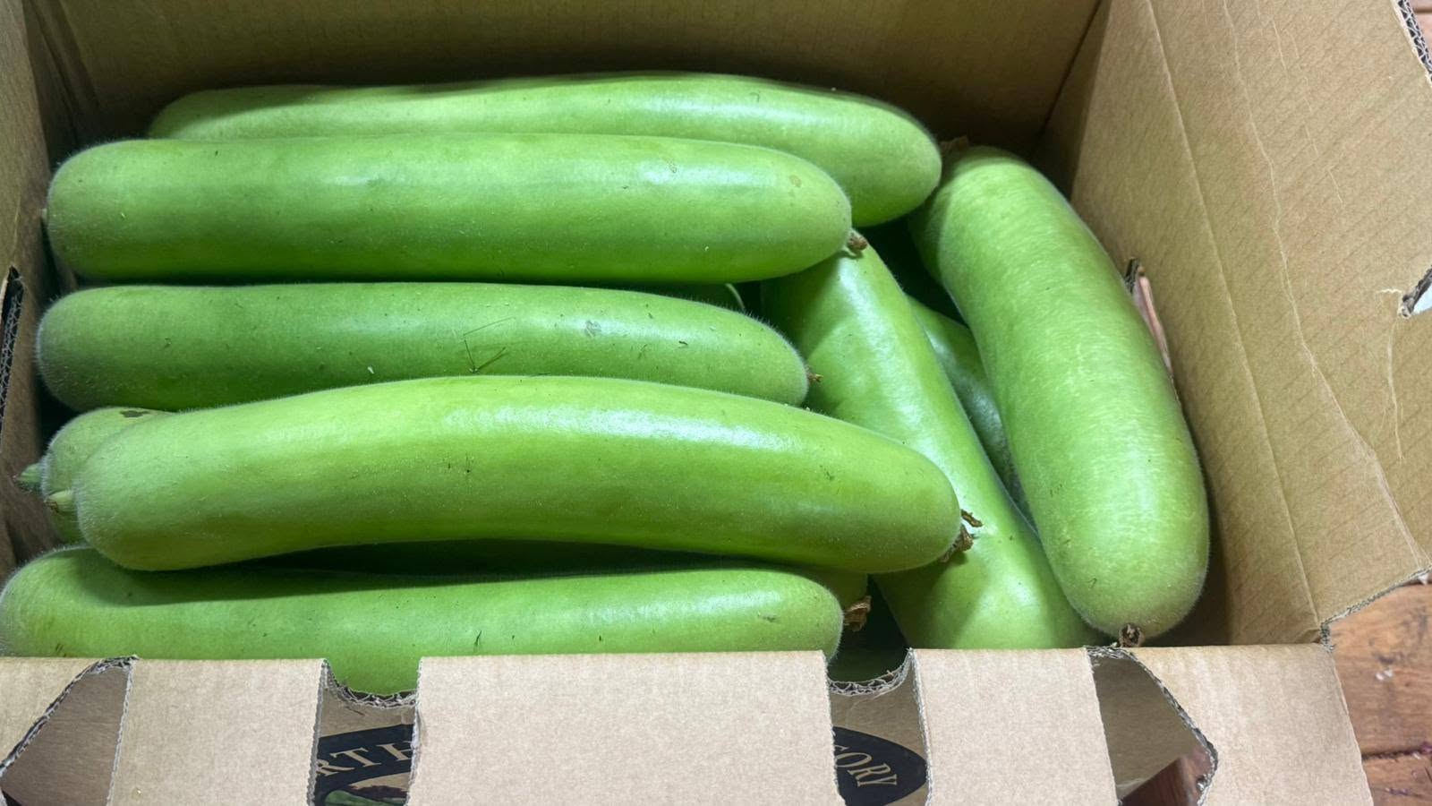 Long pale-green bottle gourds stacked in a cardboard box